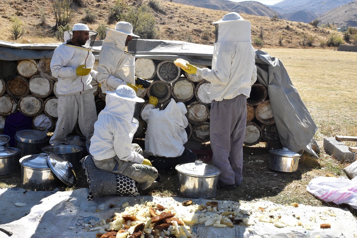Bitlis'in zengin bitki örtüsüne sahip yaylalarında elde edilen karakovan balının hasadına...