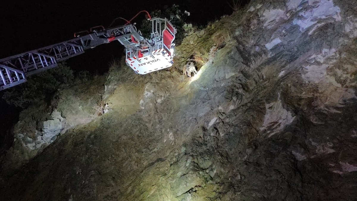 Bursa'nın İnegöl ilçesinde uçurumun ortasındaki kayalık alanda mahsur kalan köpek, itfaiye...