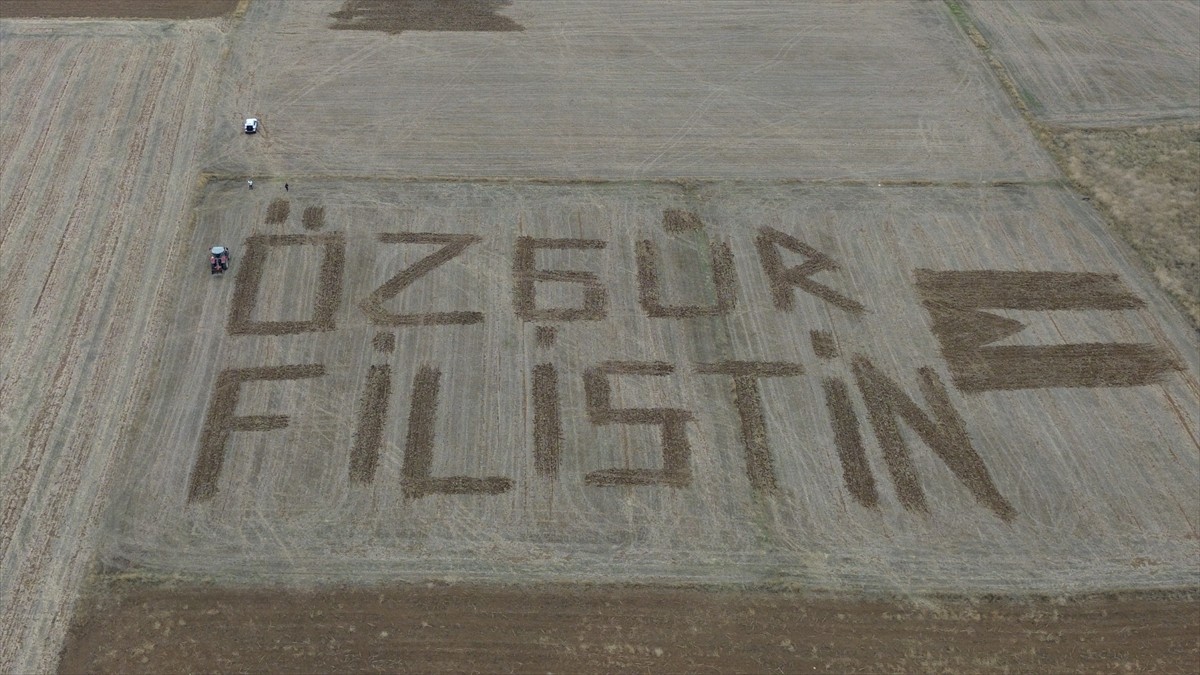 Çanakkale'nin Biga ilçesinde çiftçilik yapan Hüseyin Savaş, Filistin halkına destek olmak amacıyla...