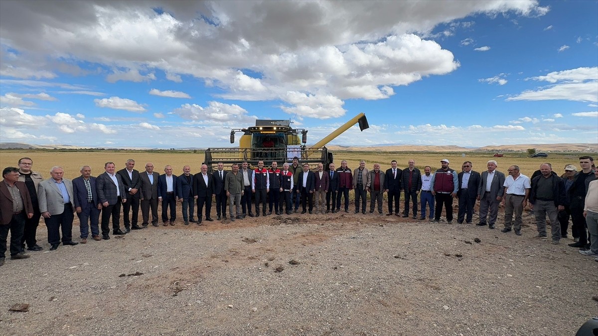 Çankırı'nın Kızılırmak ilçesinde törenle çeltik hasadı yapıldı.