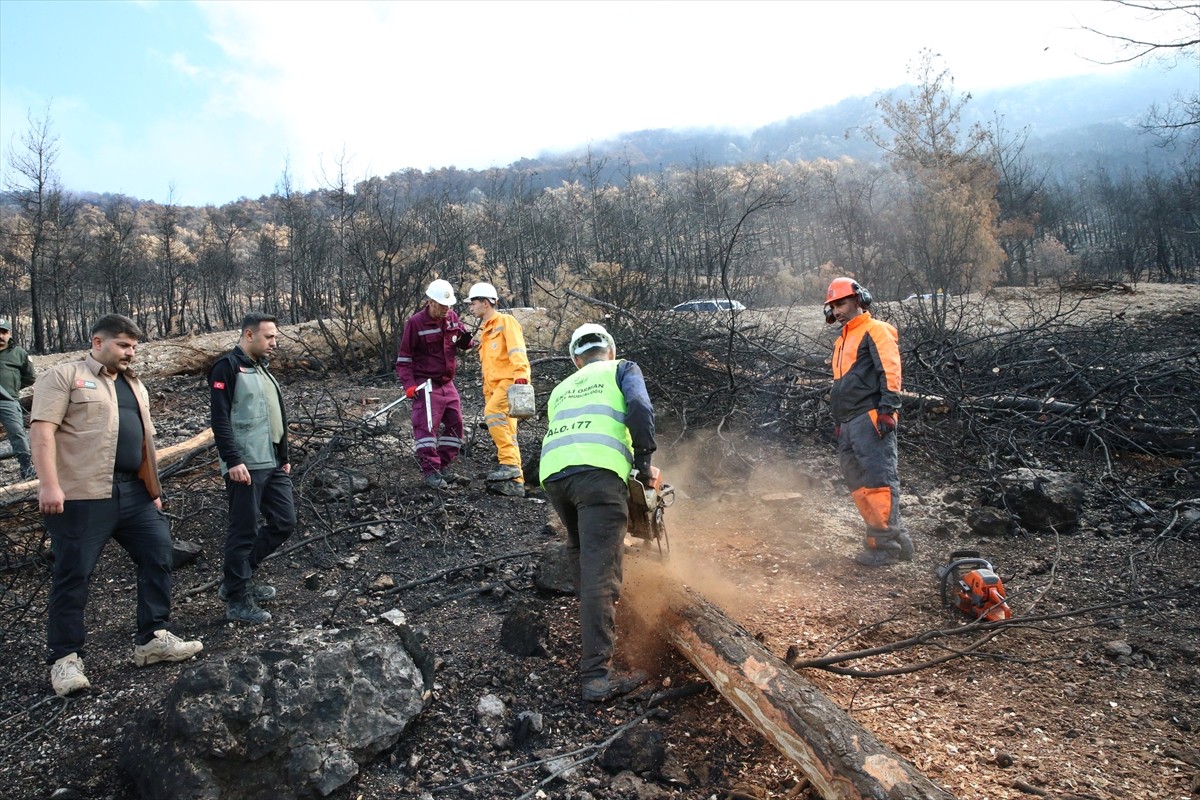 Denizli ve Uşak'ta, 2005-2024 yılları arasında meydana gelen orman yangınlarında zarar gören 6 bin...