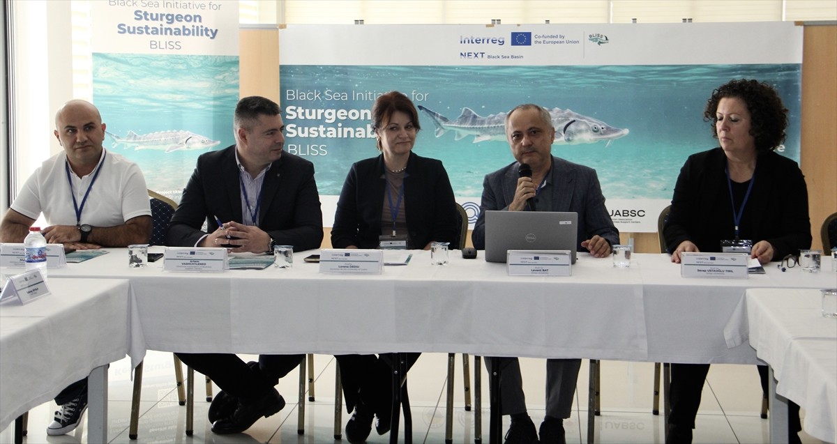 Dünyada nesli tükenme tehlikesindeki türler arasında yer alan ve "Karadeniz'in biyolojik hazinesi"...