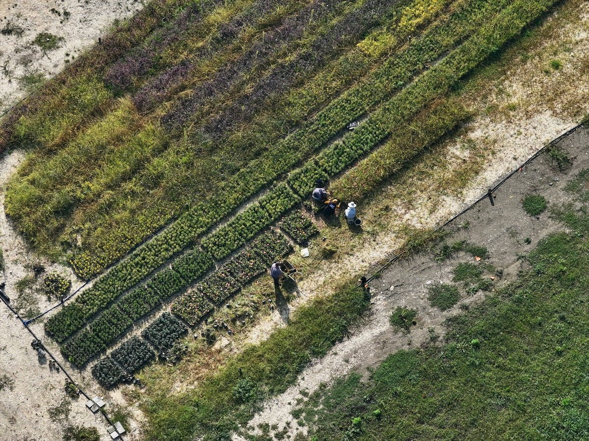 Düzce'de belediyenin öncülüğünde hayata geçirilen "Tarım Akademisi" projesiyle 2 yılda hem 200...