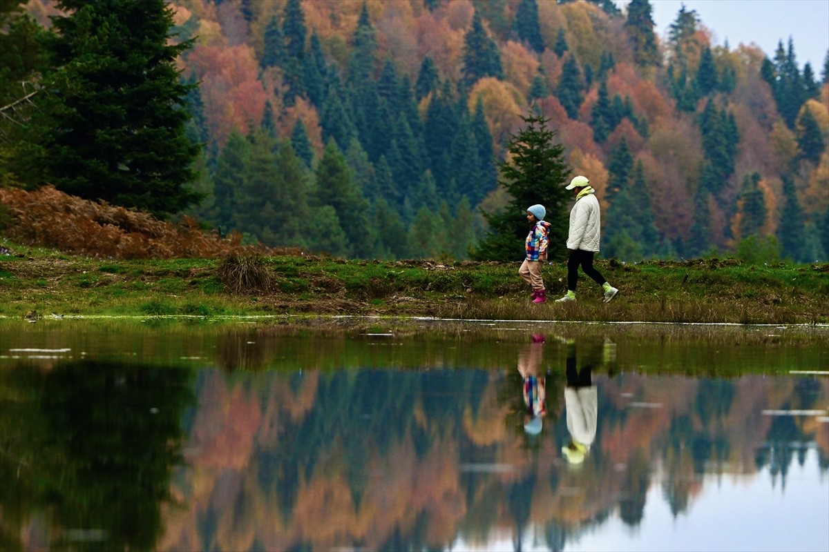Düzce'nin Pürenli Yaylası, sarı, yeşil ve kahverengi tonlarının hakim olduğu sonbaharda da...