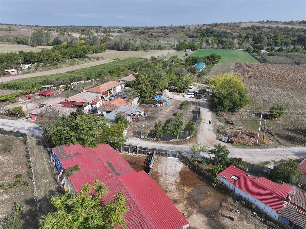 Edirne'de devlet desteğiyle kurulan serasında üretime başlayan 62 yaşındaki Şirin Uysal, Tarım ve...