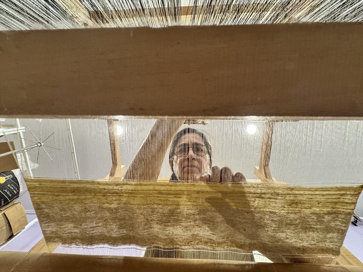 Hatay'da ipek böceği yetiştiricisi Emel Duman, yerel ırk olan "Hatay sarısı"nın buzdolabında...