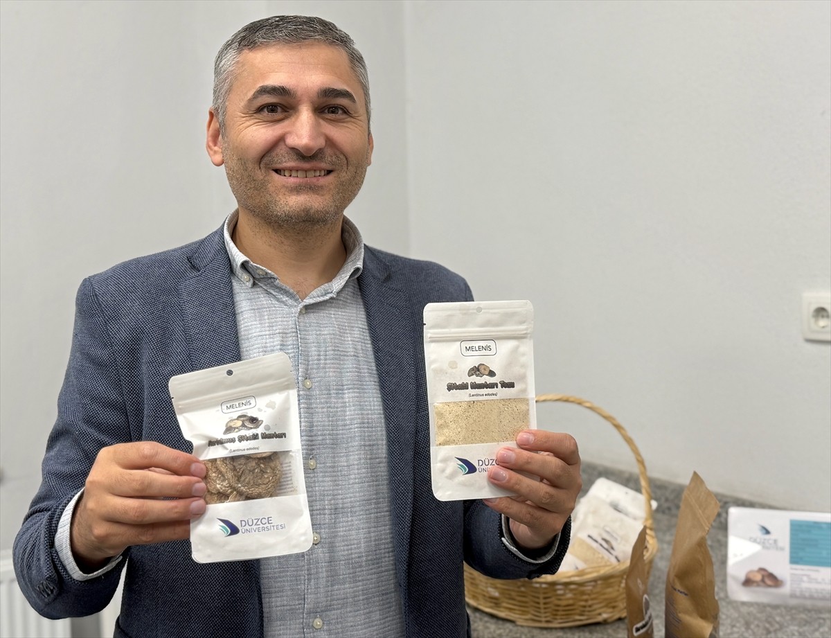 Havaların soğuması ve yağışların başlamasıyla doğada, ormanlık alanlarda çok sayıda mantar türü...