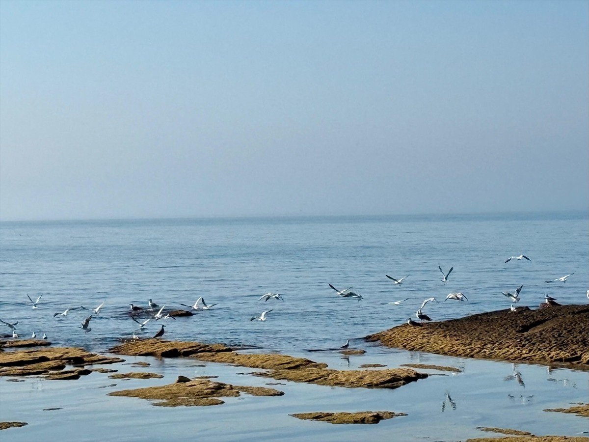 Hazar Denizi, yaklaşık 370 bin kilometrekare büyüklüğüyle Kazakistan, Azerbaycan, Rusya...