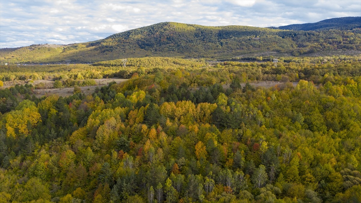 İstanbul ve Ankara arasındaki en önemli geçiş güzergahlarından D-100 kara yolunun Yeniçağa...