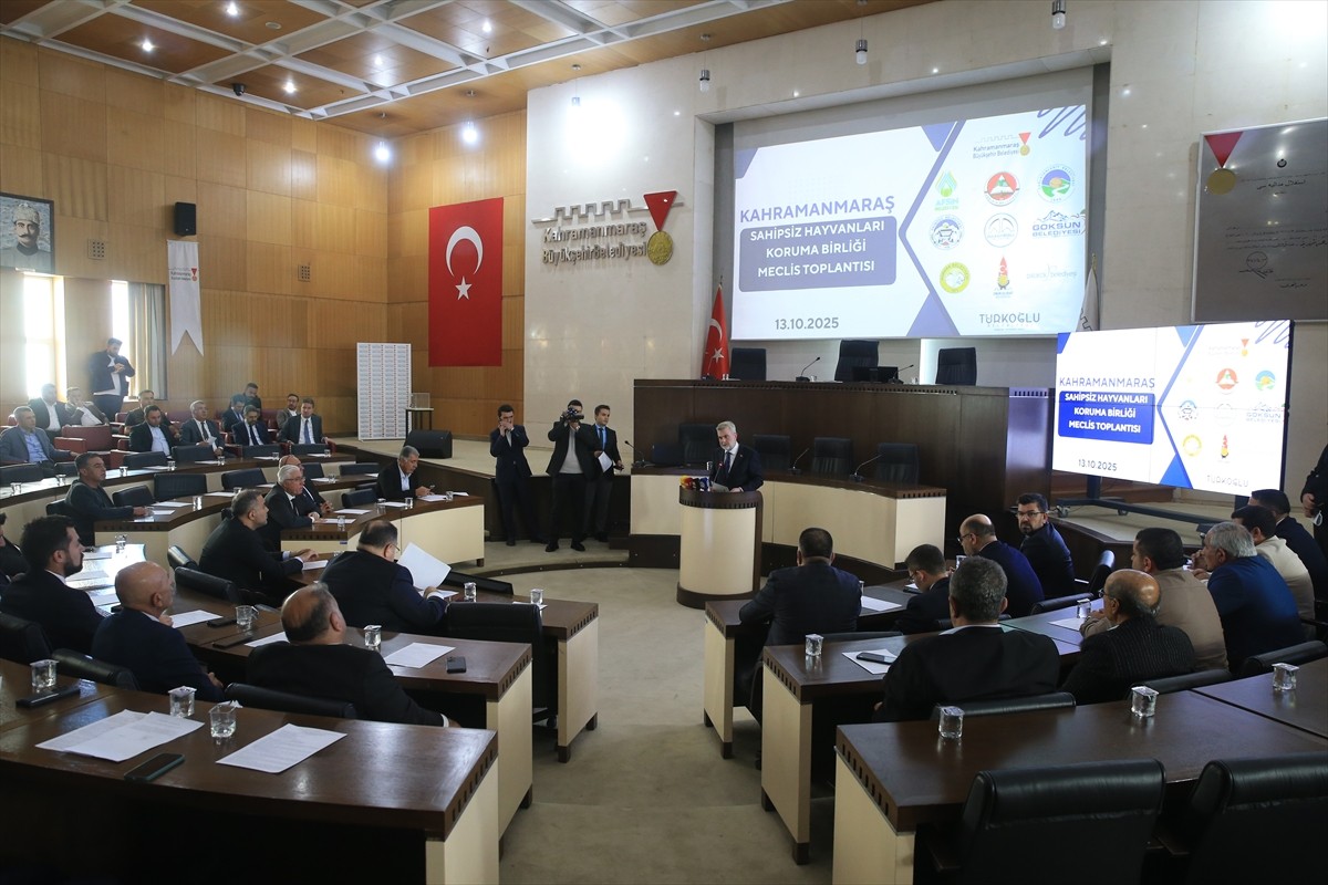 Kahramanmaraş'ta sahipsiz hayvanların kontrol altına alınması, barındırılması, gözetilmesi ve...