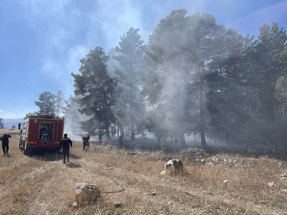 Kars'ın Sarıkamış ilçesinde ormanlık alanda çıkan örtü yangınında yaklaşık 1 hektar alan zarar...