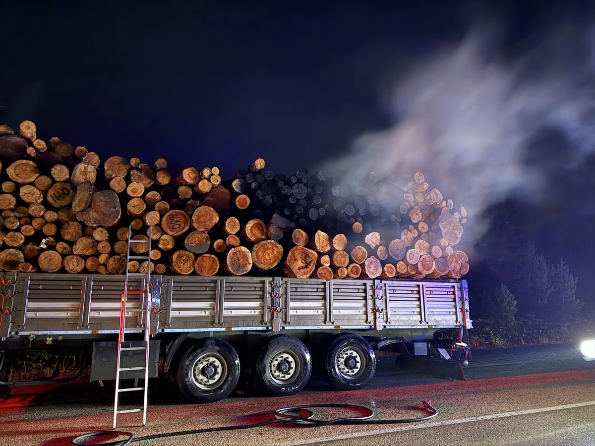 Kastamonu'da seyir halindeki tırın dorsesinde çıkan yangın itfaiye ekiplerince söndürüldü.