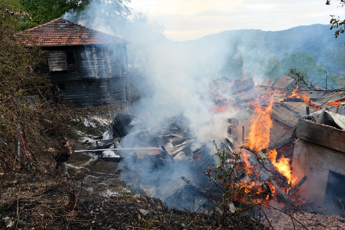 Kastamonu'nun Bozkurt ilçesinde çıkan yangında 2 ev zarar gördü.