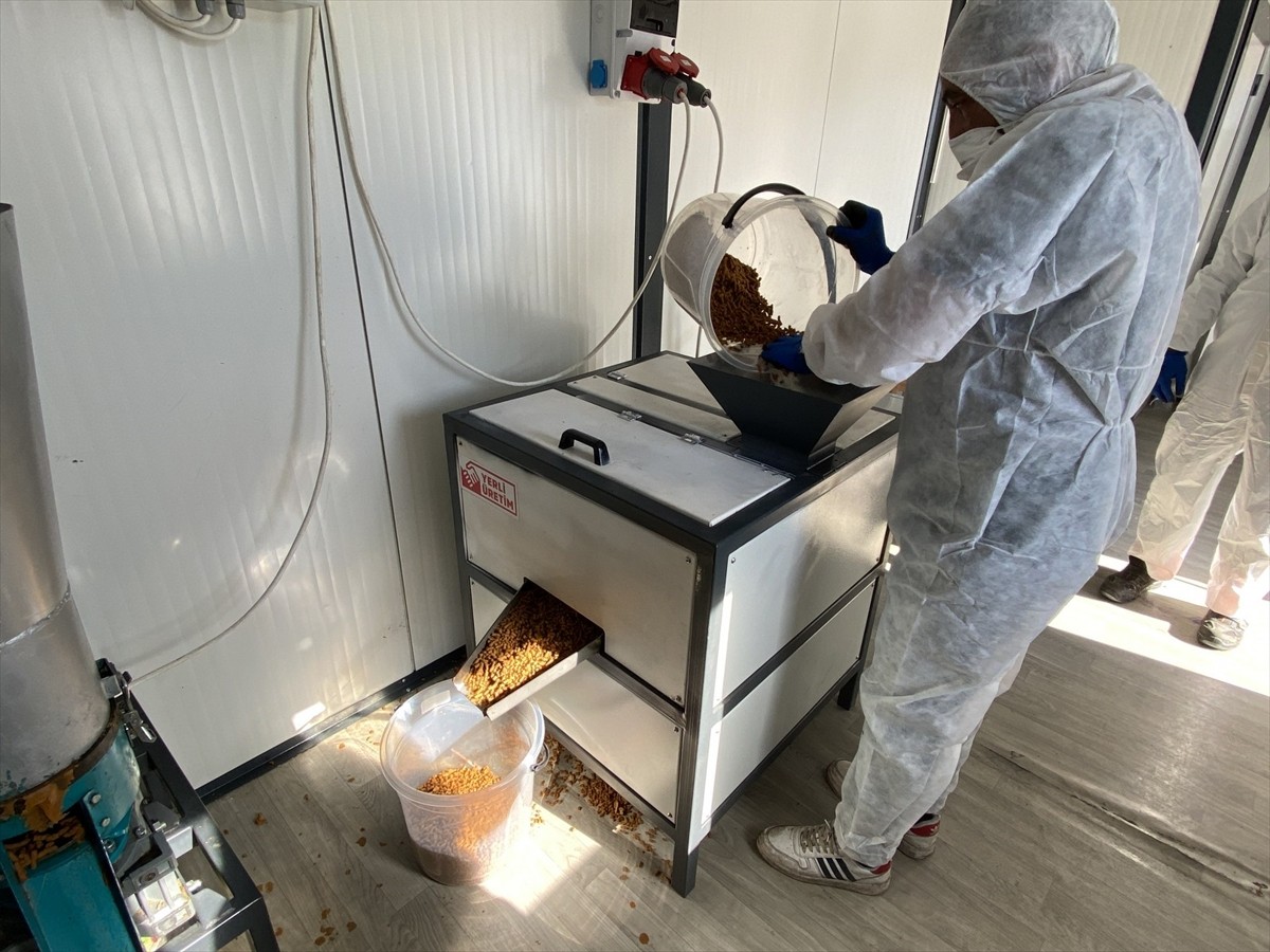 Kayseri'de Melikgazi Belediyesi, sıfır atık çalışmaları kapsamında yemek artıklarını işleyerek...