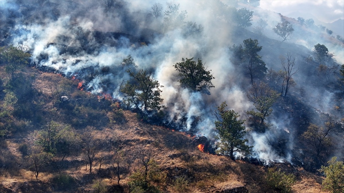 Kayseri'de Talas ilçesinde biber ve patlıcan közlemek için yakılan ateşin sıçradığı çalılık...