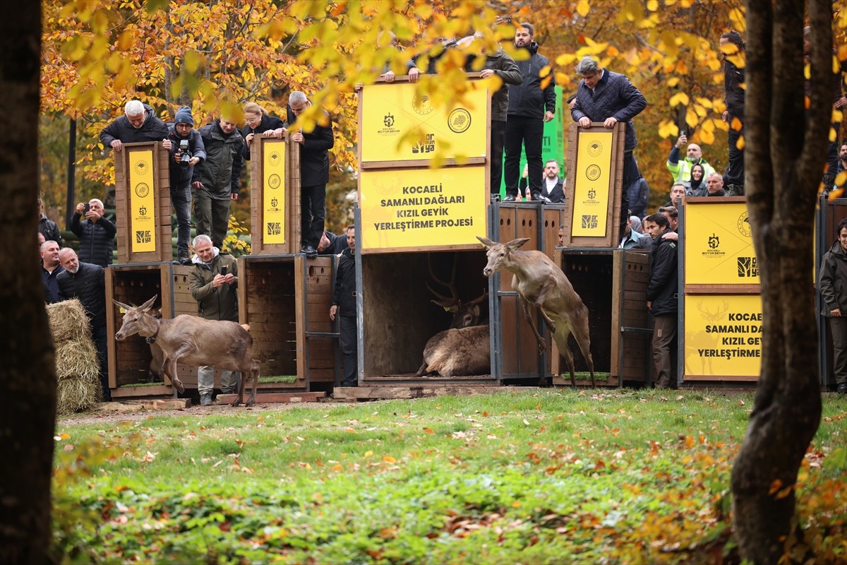 Kocaeli Büyükşehir Belediyesi ve Doğa Koruma ve Milli Parklar Genel Müdürlüğü işbirliğiyle hayata...