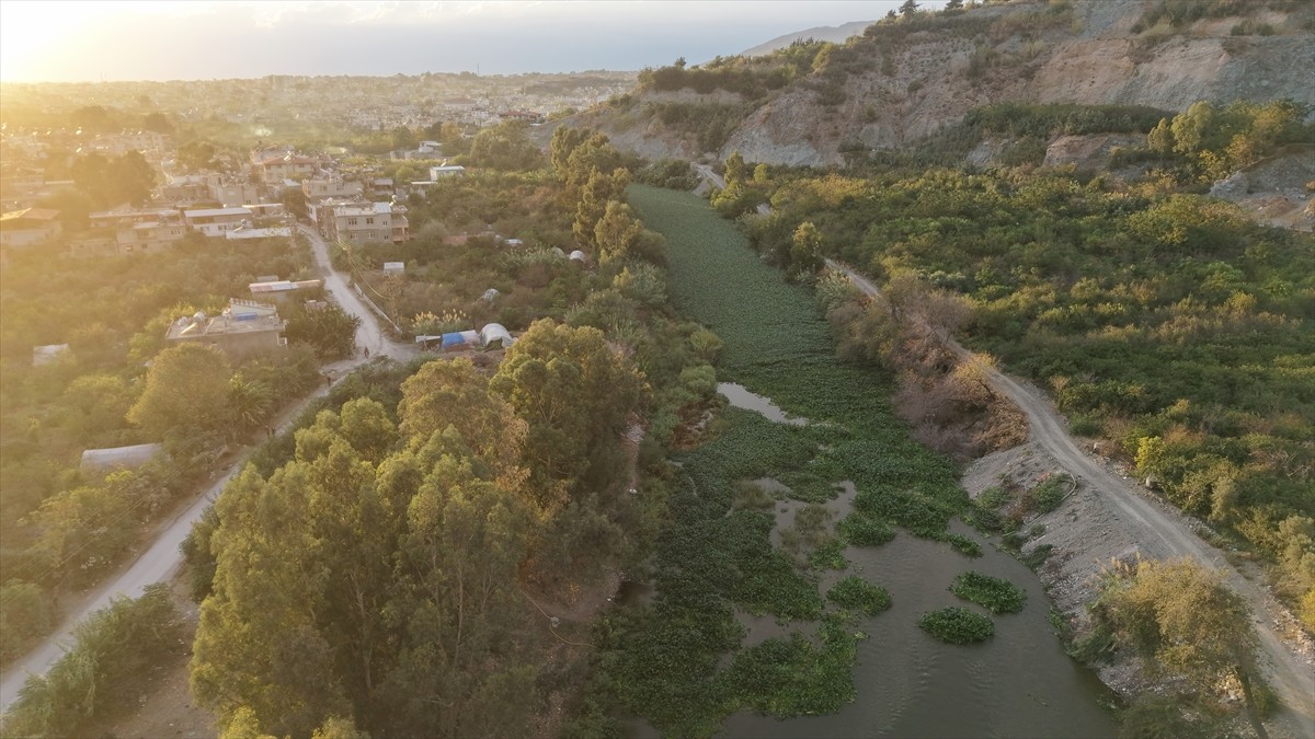 Lübnan'ın Bekaa Vadisi'nde doğan, Suriye'den geçerek Hatay'ın Samandağ ilçesinden Akdeniz'e...