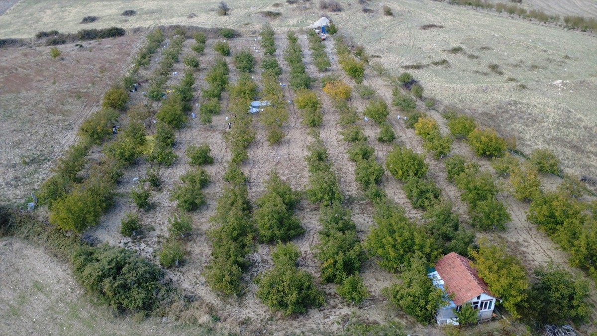 Manisa'nın Demirci ilçesinde yaşayan Hüseyin Sönmez, emekli olduktan sonra köyüne dönerek kurduğu...