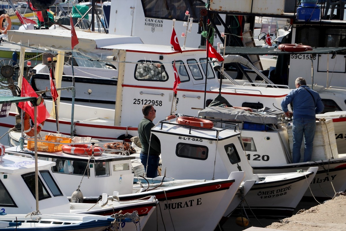Marmara'da sezona lüfer avıyla başlayan balıkçılar, hava ve deniz suyu sıcaklıklarının artmasıyla...