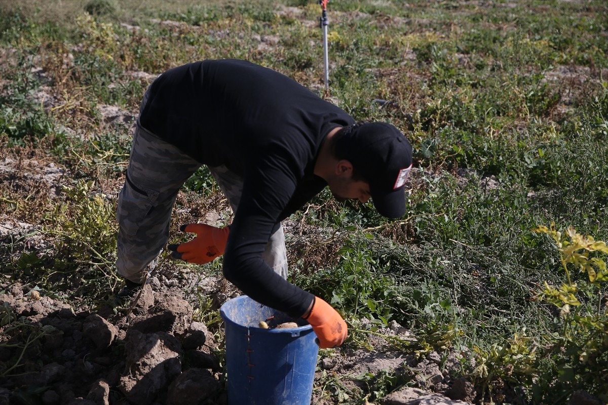 Niğde Ömer Halisdemir Üniversitesi (NÖHÜ) Tarım Bilimleri ve Teknolojileri Fakültesi'nde eğitim...
