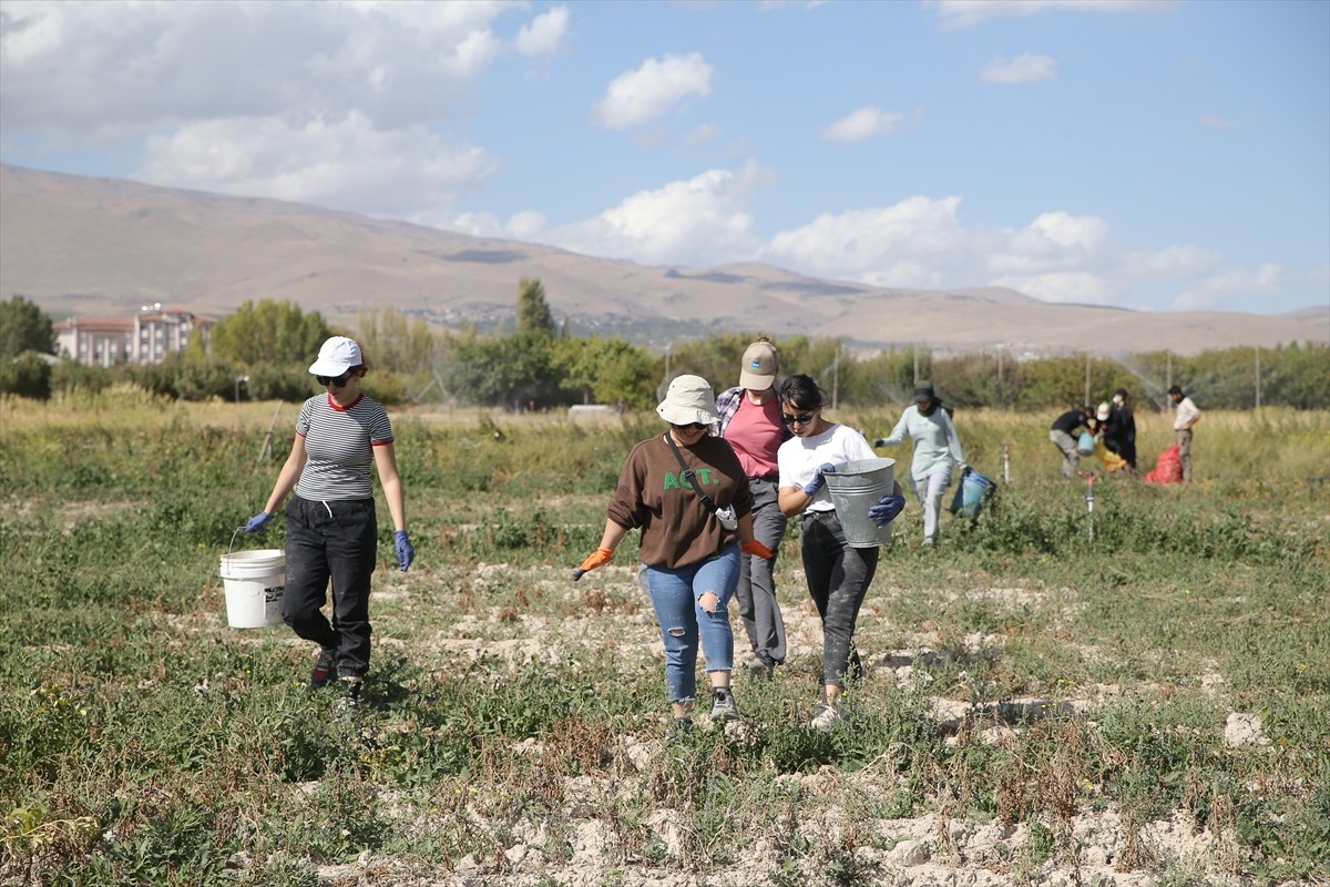 Niğde Ömer Halisdemir Üniversitesi (NÖHÜ) Tarım Bilimleri ve Teknolojileri Fakültesi'nde eğitim...