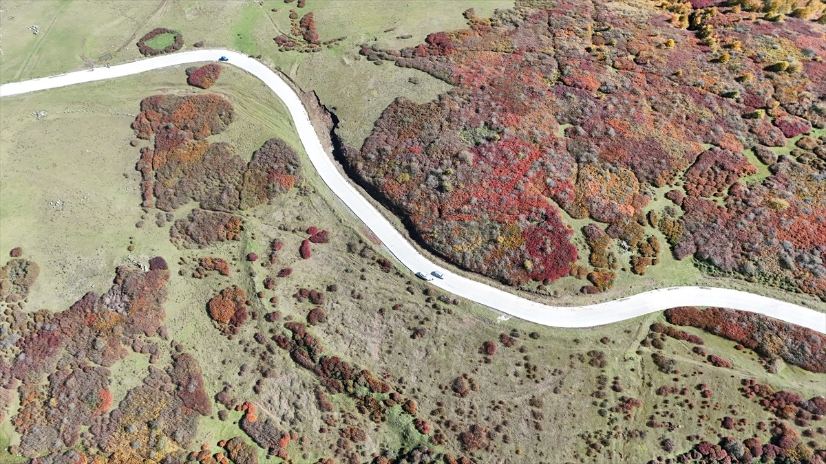 Ordu'nun Korgan ilçesine bağlı Korgan Yaylası'nda güz mevsiminin tonları görsel şölen...