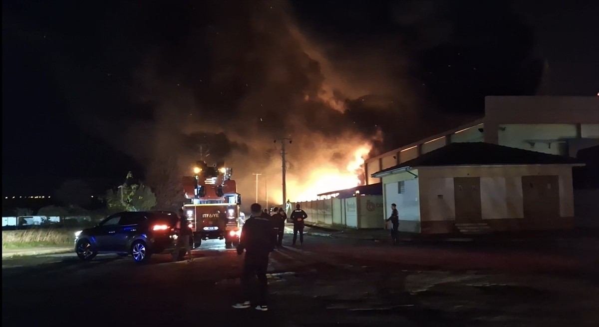 Samsun'un Bafra ilçesinde geri dönüşüm fabrikasında çıkan yangına müdahale ediliyor.