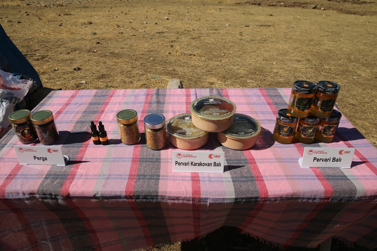 Siirt'in Pervari ilçesinde huzura kavuşan Herekol Dağı'nın eteklerindeki 2 bin 47 rakımlı Çemikari...