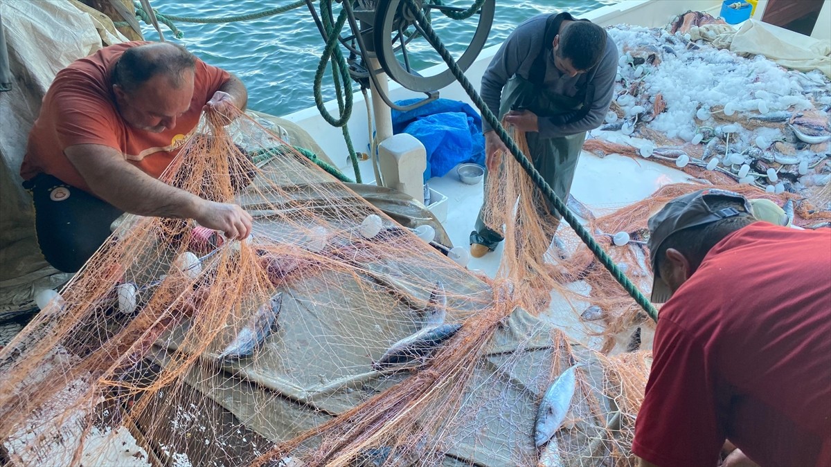  Sinop'un Türkeli ilçesinde, teknesiyle denize açılan balıkçı Erol Büyükbaş, sezonun ilk palamut...