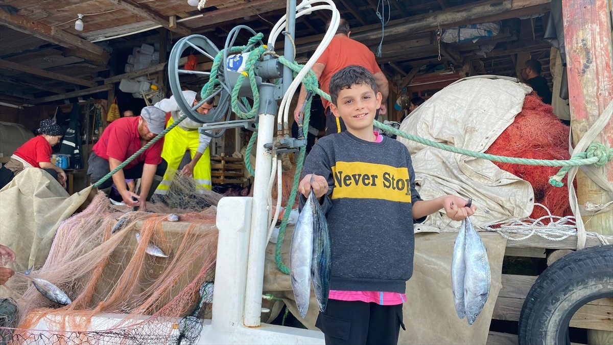  Sinop'un Türkeli ilçesinde, teknesiyle denize açılan balıkçı Erol Büyükbaş, sezonun ilk palamut...