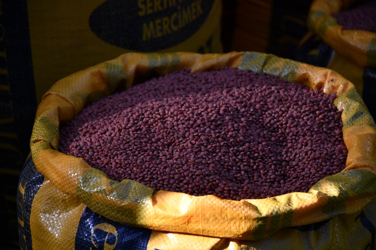 Tarım ve Orman Bakanlığı Bitkisel Üretim Genel Müdürlüğünce yürütülen Tarım Arazilerinin...