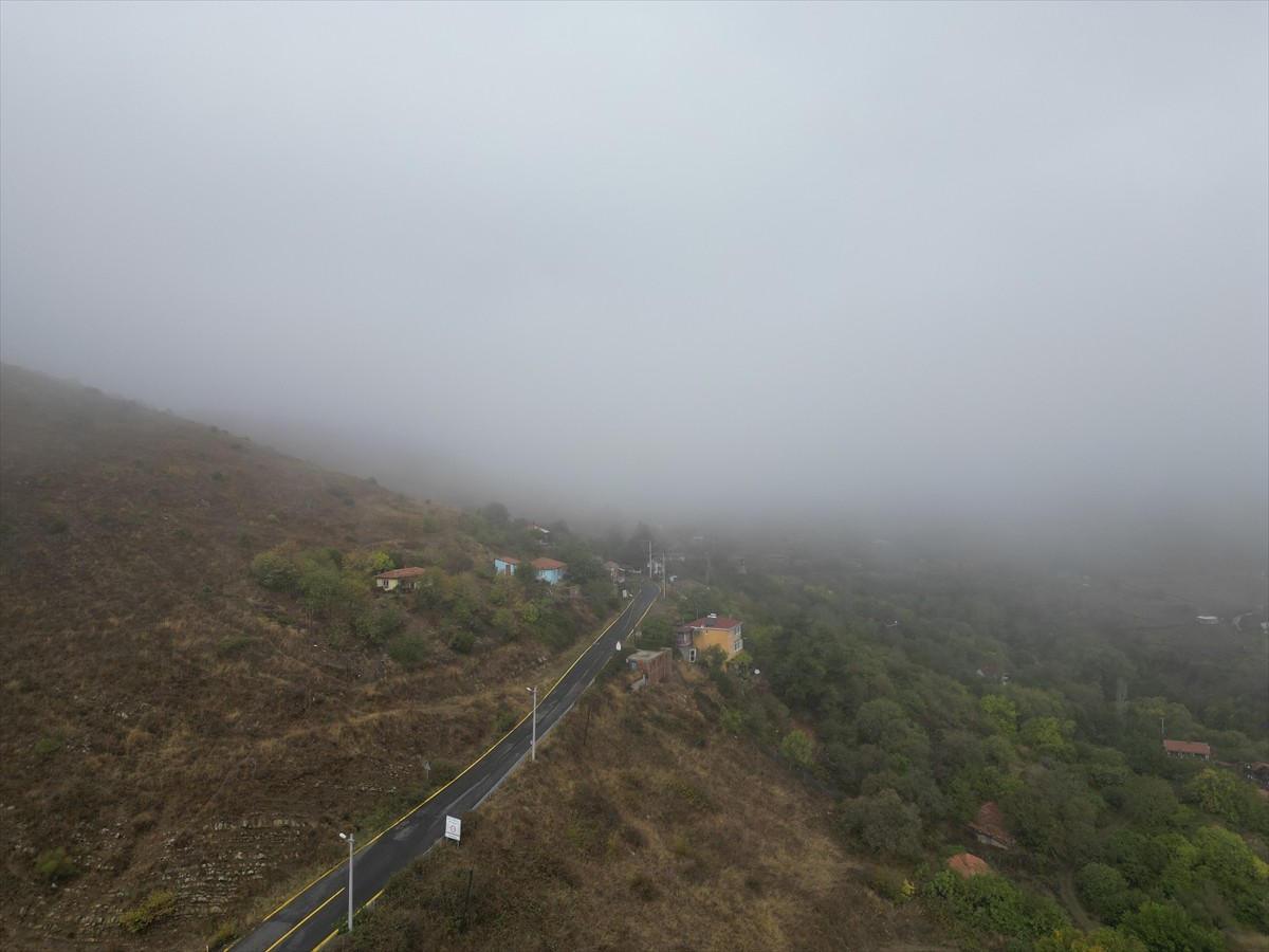 Tekirdağ'da Ganos Dağı eteklerinde sabah saatlerinde yoğun sis görüldü.