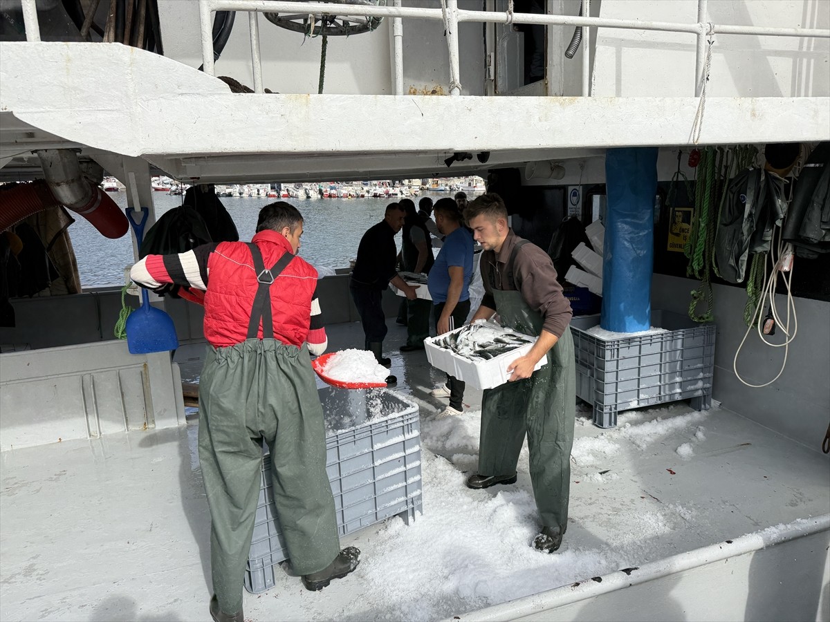 Tekirdağlı balıkçılar, sabah saatlerinde açıldıkları Marmara Denizi'nden bol miktarda istavrit...