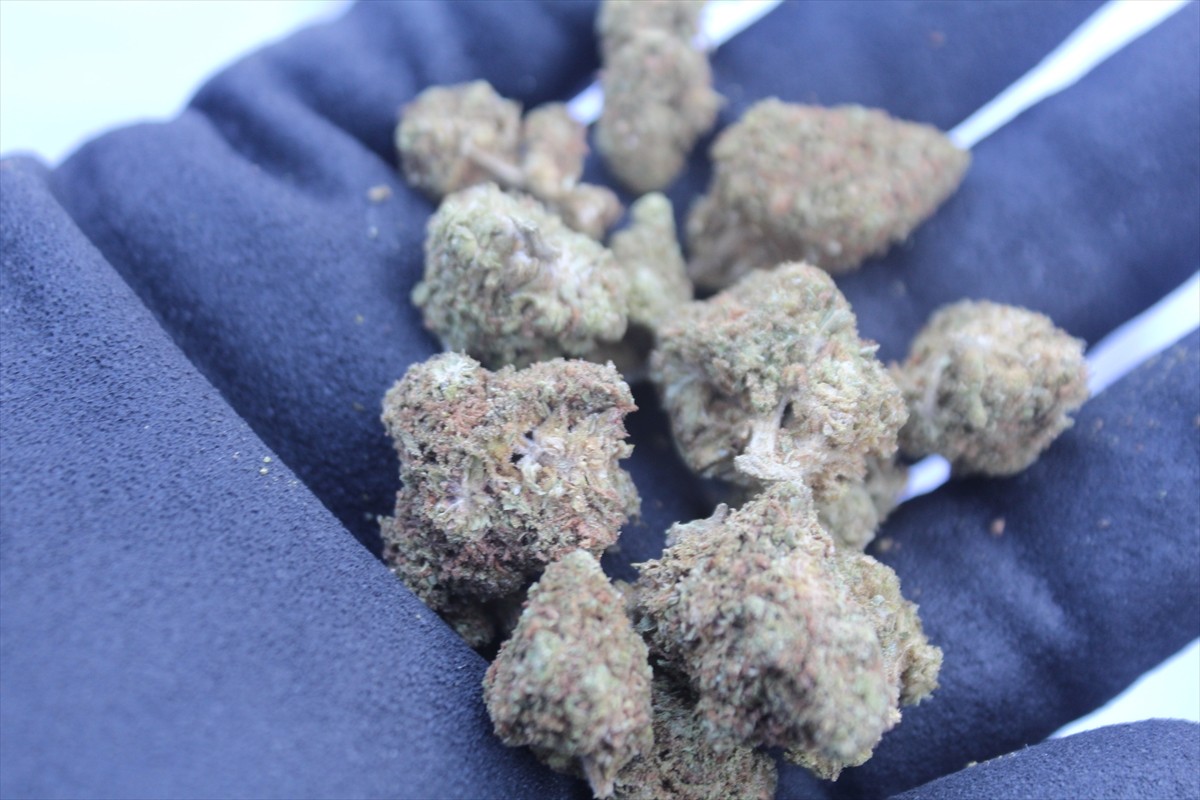 Ticaret Bakanlığı Gümrükler Muhafaza Müdürlüğü ekipleri, Tekirdağ ve Edirne'de yürüttüğü iki ayrı...