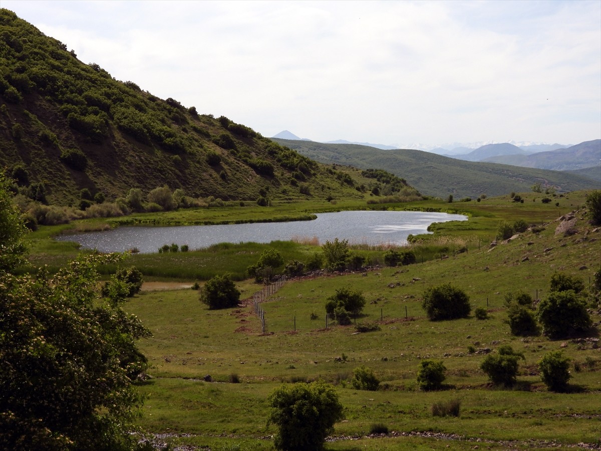 Türkiye'nin zengin ekosistemine değer katacak Bingöl, Çanakkale ve Bilecik'teki 5 yer, "Mahalli...