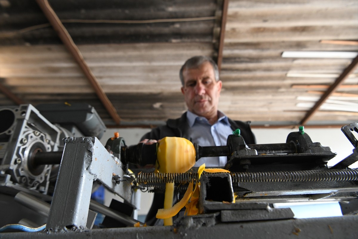 Çanakkale'nin Lapseki ilçesinde üretici Sabri Özkan, bahçesinde yetiştirdiği Trabzon hurmalarını...