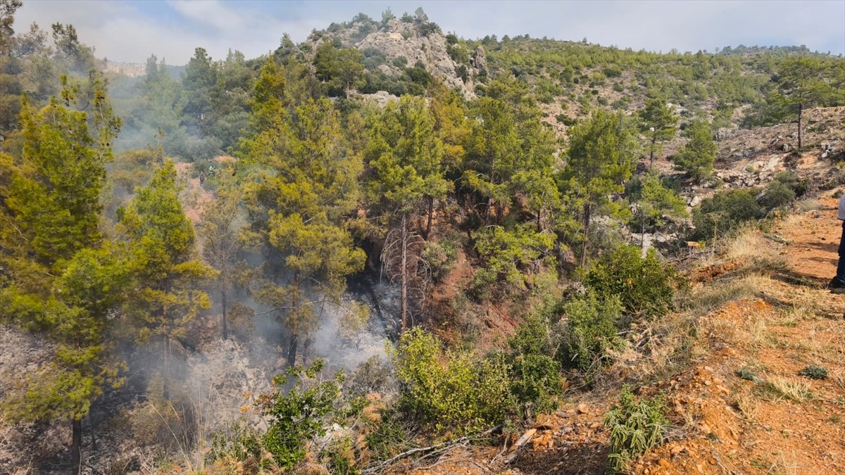 Mersin'in Gülnar ilçesinde yabani otları temizlemek için bahçede ateş yakan kişi, büyüyen yangında...