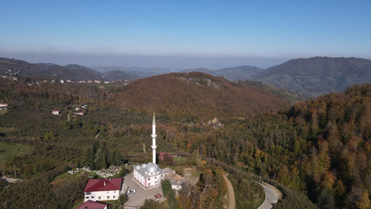 Samsun'un 19 Mayıs ilçesindeki Nebiyan Dağı'nda güz renkleri doğaya hakim oldu. Şehir merkezine 60...