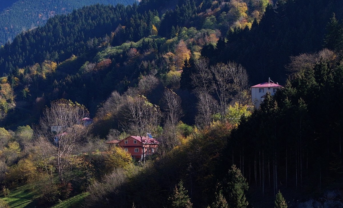 Trabzon'un Maçka ilçesine bağlı Zigana Dağı eteklerindeki Hamsiköy, sonbaharda doğanın en canlı...