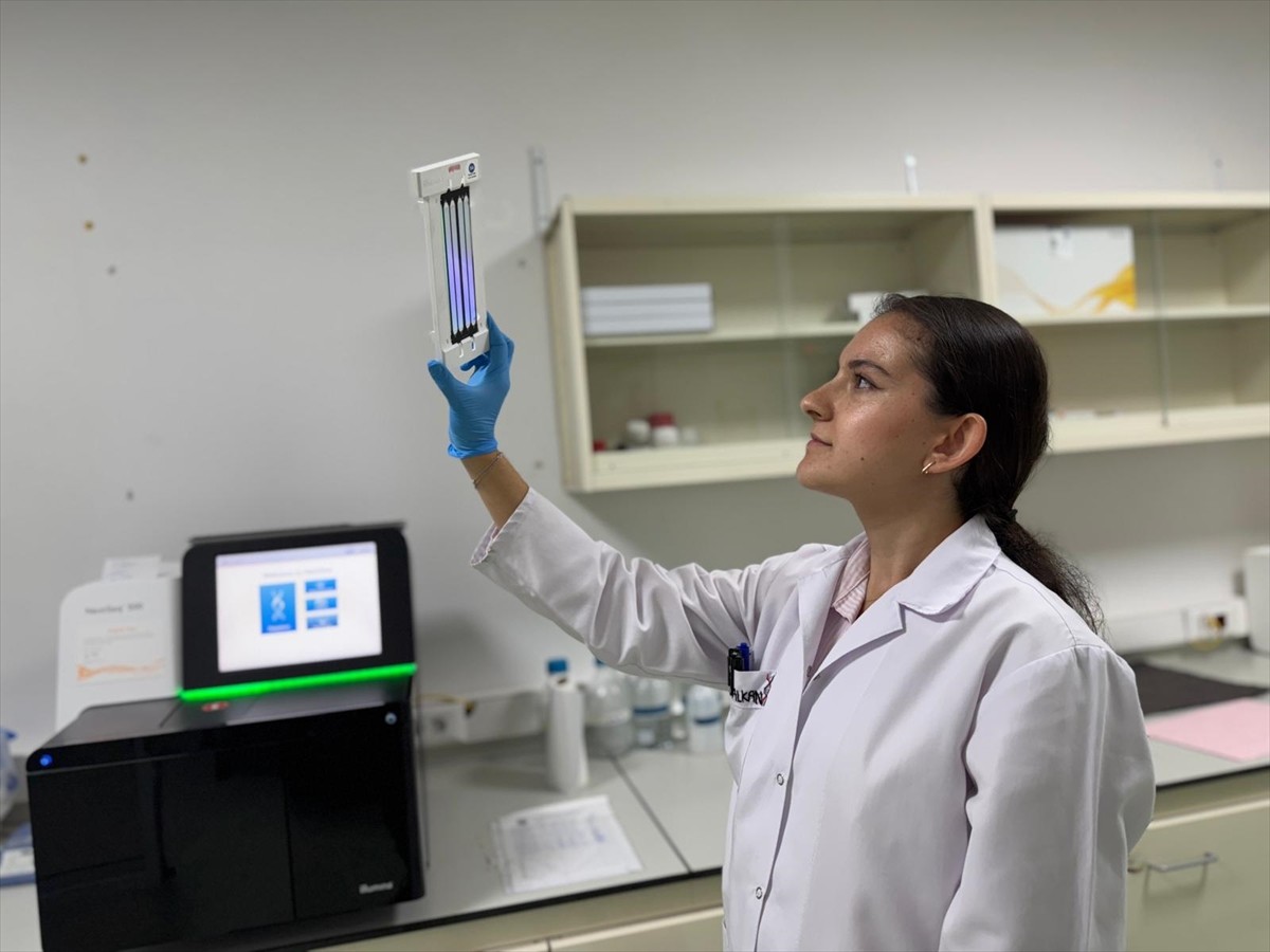 Türk bilim insanlarının, fareler üzerinde yaptığı çalışmada tespit ettiği, akciğer kanserinde...